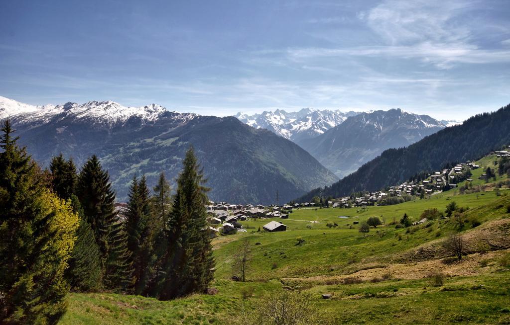 فيلا Fouquet 1Er فيربير الغرفة الصورة